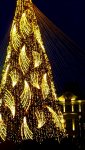 IMG_20231205_111229_resize_24.jpg