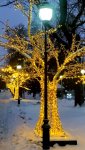 IMG_20231205_111126_resize_33.jpg