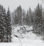 IMG_20231209_121916_CrQIX3GY0R.jpeg