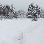 c1_20231215_18175994.jpeg