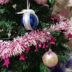 IMG20231216191613_Ft6hltfK6P.jpeg
