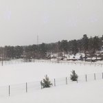 IMG20231219111903_oWIjaszo56.jpeg
