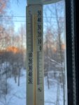 IMG_5304.jpeg