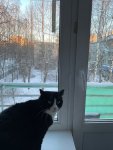 IMG_5307.jpeg