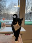 IMG_5321.jpeg