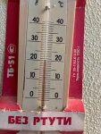 IMG_5365.jpeg