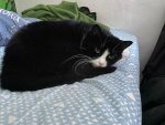 IMG_5361.jpeg
