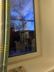 IMG_5369.jpeg