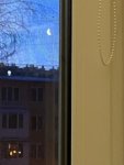 IMG_5370.jpeg