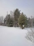 IMG_20240131_114823_1_Uc4nAkvO1S.jpeg