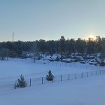 IMG20240208104000_A5dX235x9P.jpeg