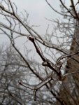 IMG_20240215_103543_YDnLTR4Z8N.jpeg