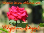 IMG_0426 Бармыш, роза праздник.jpg