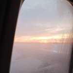 IMG20240227171418_ufFdU99t5n.jpeg