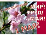 IMG_20240501_075459_O0GFQasl3J.jpeg