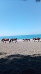 IMG_20240611_113827_6.jpg