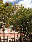 IMG_20240719_131850_aPlLpDPr0b.jpeg