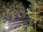 IMG_9149.jpeg