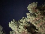 IMG_9152.jpeg