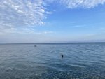 IMG_9161.jpeg