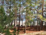 IMG_9251.jpeg