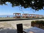 IMG_9303.jpeg