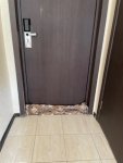 IMG_9437.jpeg