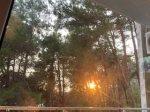 IMG_9474.jpeg