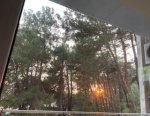 IMG_9480.jpeg