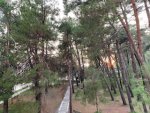 IMG_9481.jpeg