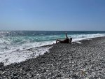 IMG_9606.jpeg