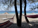 IMG_9592.jpeg