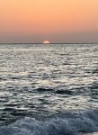 D47A3843-E7E0-489F-8204-16E708888789.jpeg