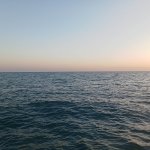 IMG20240907183659_0WPGp58T9E.jpeg