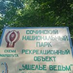 IMG20240908161426_OVyjBPRf4Z.jpeg