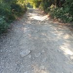 IMG20240908145600_rj2fTi5n6q.jpeg