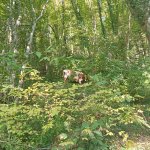 IMG20240908153038_p6BjtkHp6i.jpeg
