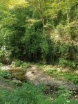 IMG_20240908_221948_493_BwD2Ara73J.jpeg