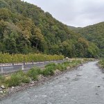 IMG20240909130204_DpdwJ9rI9v.jpeg