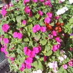 IMG20240910083856_Xg2rpm3j1a.jpeg