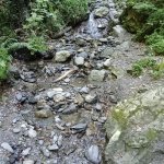 IMG20240910101055_hDbYAksU6p.jpeg