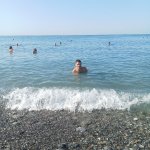 IMG20240914085457_yHphe1g54r.jpeg