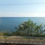 IMG20240914164912_BP1C1UOL3i.jpeg