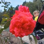 IMG20240916174128_C6jufA8X3c.jpeg