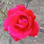 IMG20240916174513_RxTgmzXy29.jpeg