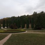 IMG20240916174815_Y6zLEVXh29.jpeg