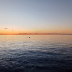 IMG20241028172148_b0tNMoZ62h.jpeg