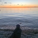 IMG20241028172526_ST0Rci4E6p.jpeg