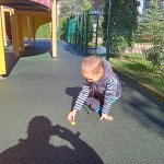 IMG20241103122717_iVHo4jjc5W.jpeg