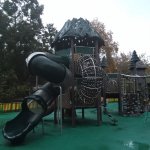 IMG20241108170901_U1RonSKm4W.jpeg